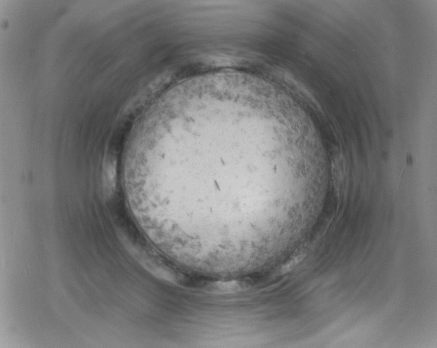 X0000079340406200612082029