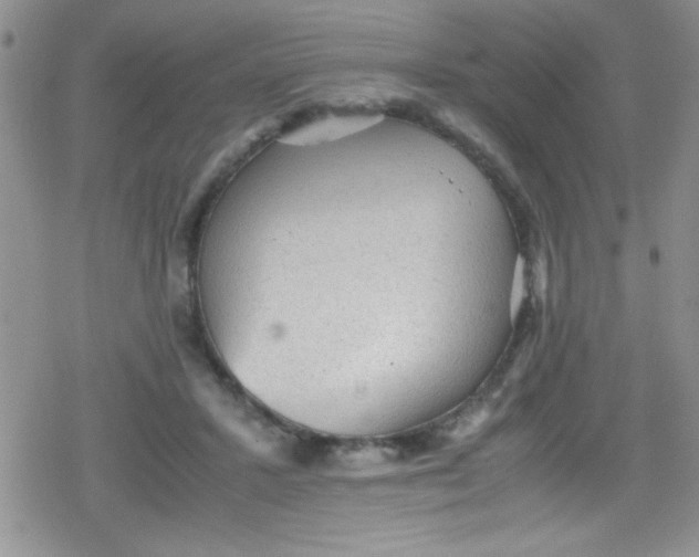 X0000079340407200612082029