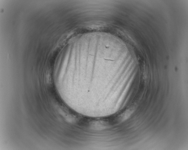 X0000079340408200612082029