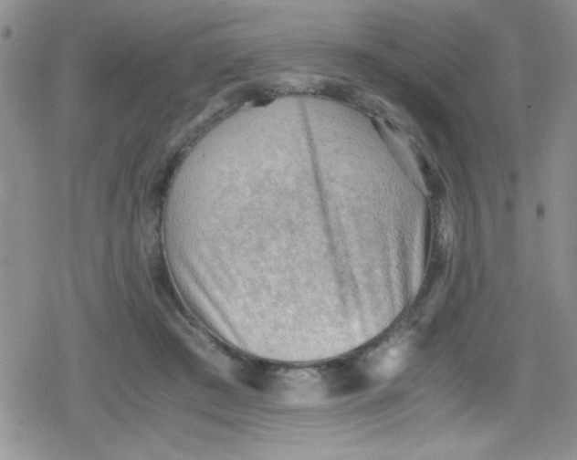 X0000079340409200612082029