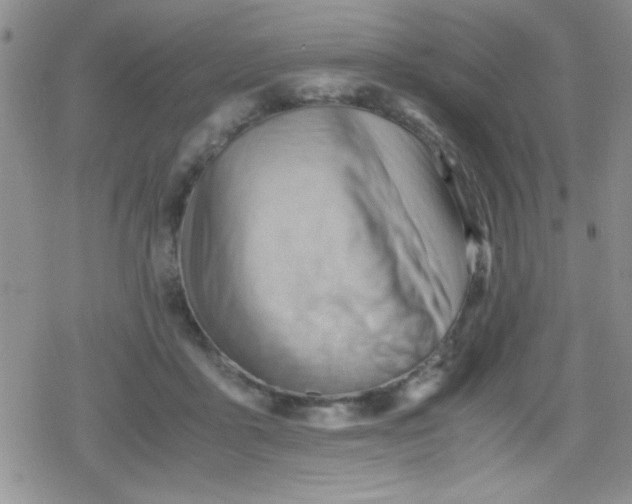 X0000079340411200612082029