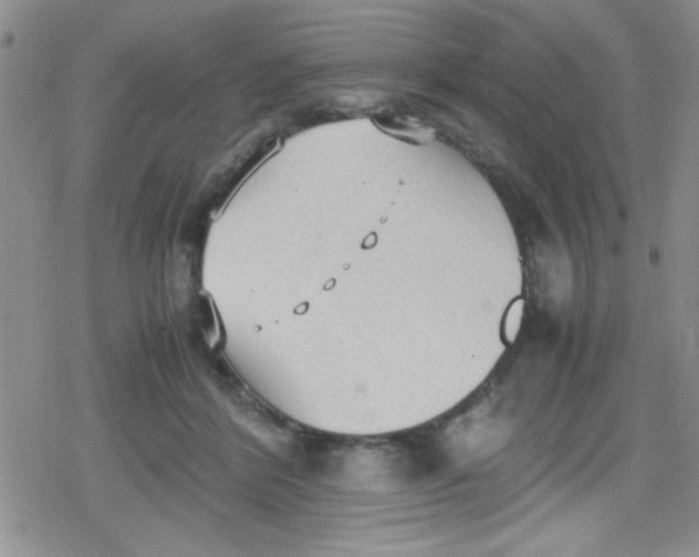 X0000079340412200612082029