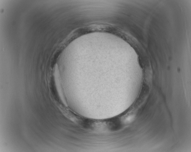 X0000079340413200612082029