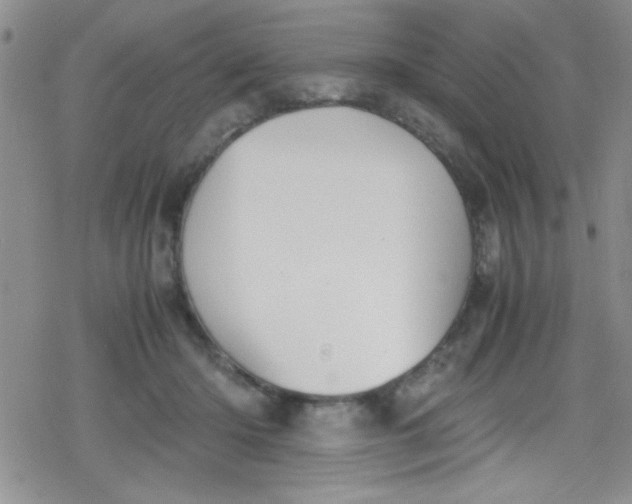 X0000079340414200612082029