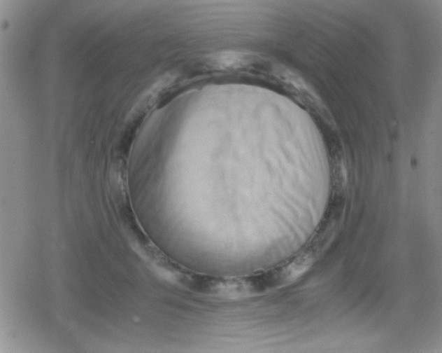 X0000079340415200612082029