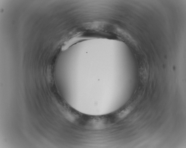 X0000079340416200612082029