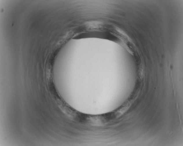 X0000079340417200612082029