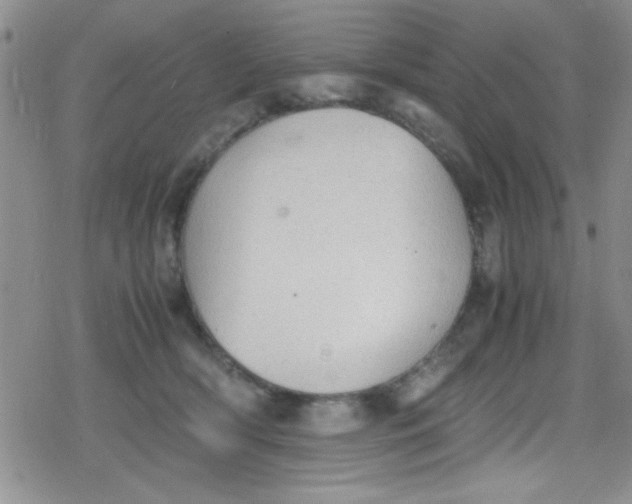 X0000079340418200612082029