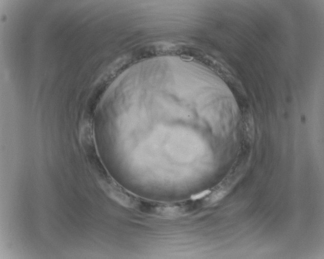 X0000079340419200612082029