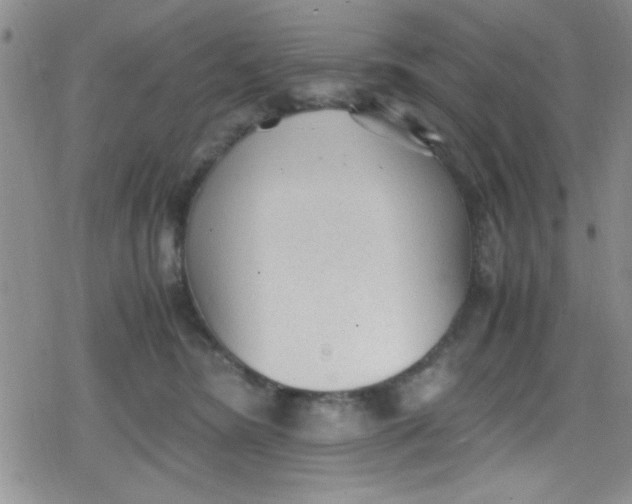 X0000079340420200612082029