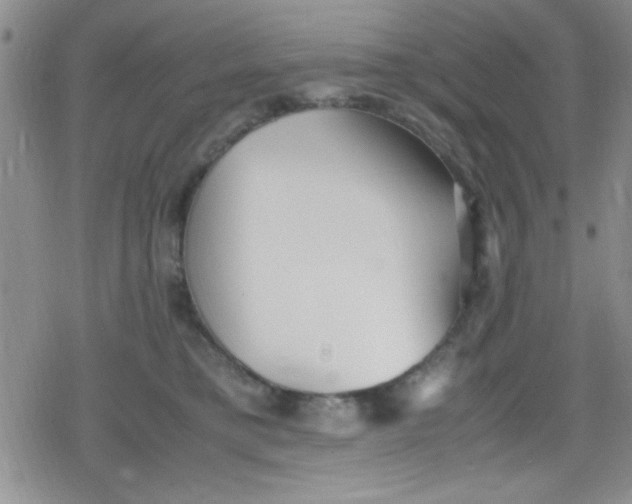 X0000079340421200612082029