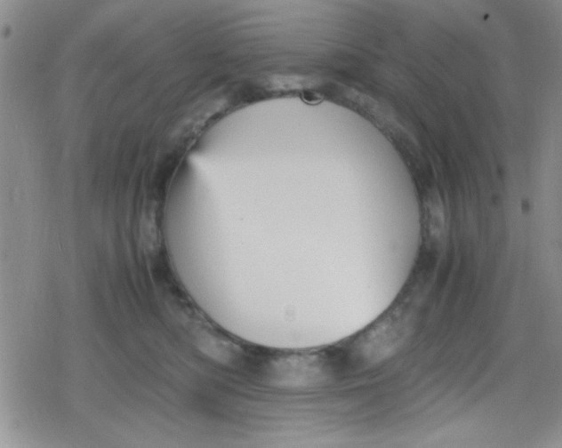 X0000079340422200612082029