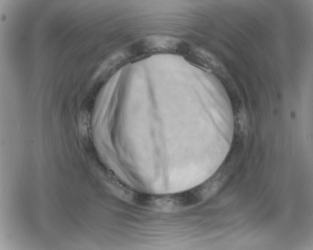 X0000079340423200612082029