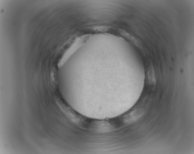 X0000079340424200612082029