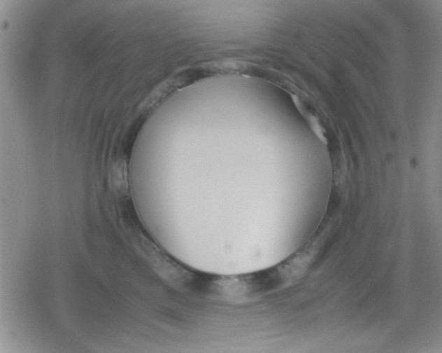 X0000079340425200612082029