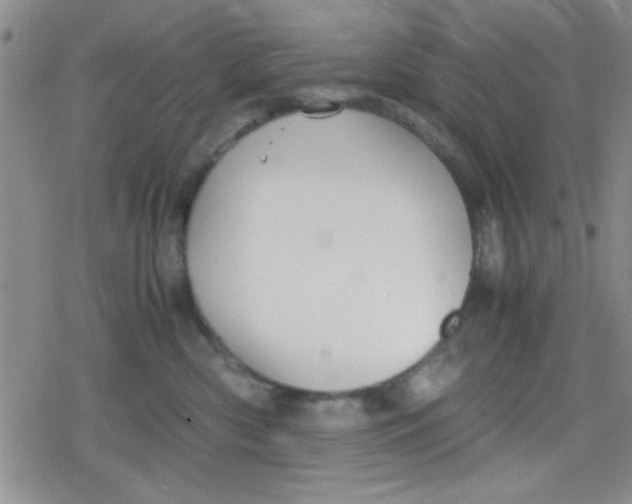 X0000079340426200612082029