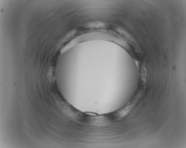 X0000079340428200612082029