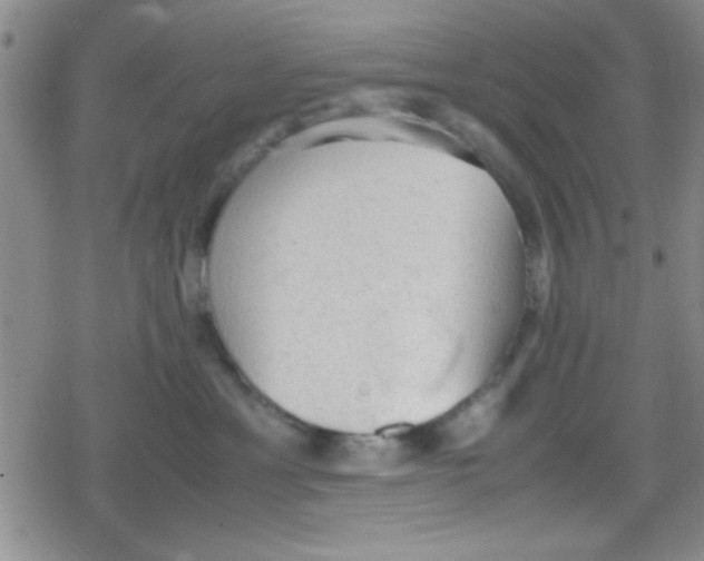 X0000079340429200612082029