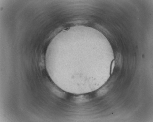 X0000079340430200612082029