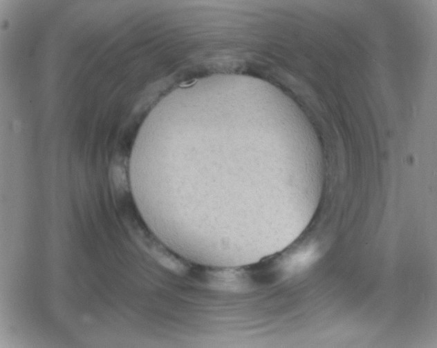 X0000079340432200612082029