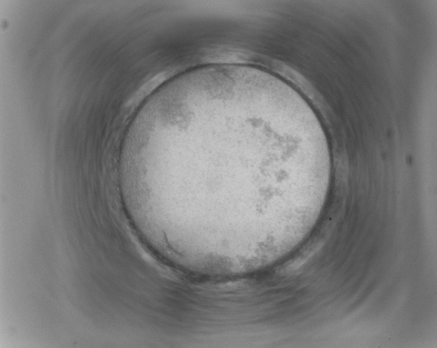 X0000079340433200612082028