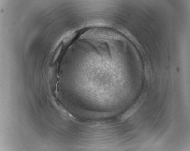 X0000079340434200612082028