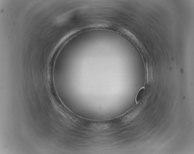 X0000079340435200612082028