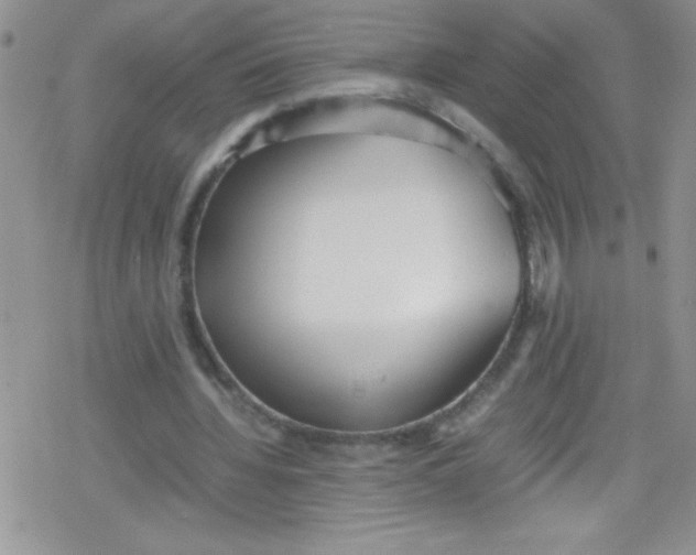 X0000079340436200612082028