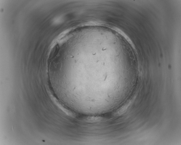 X0000079340437200612082028