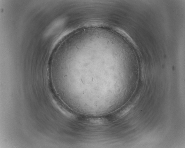 X0000079340439200612082028