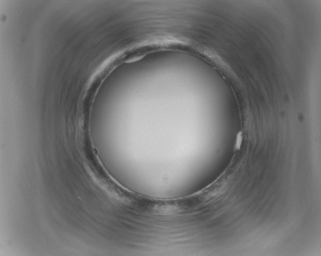 X0000079340440200612082028