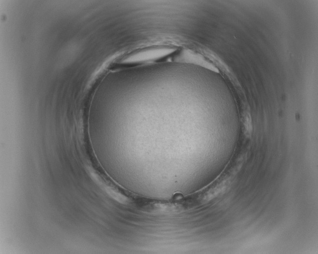 X0000079340442200612082028