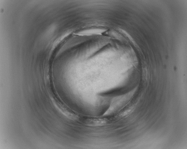 X0000079340443200612082028