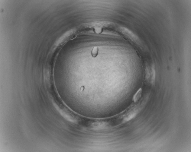 X0000079340444200612082028