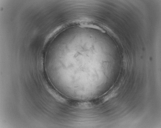 X0000079340446200612082028