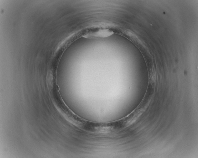 X0000079340448200612082028