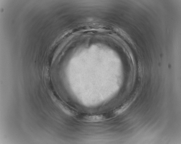 X0000079340449200612082028