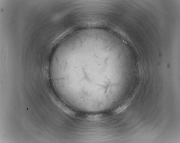 X0000079340450200612082028