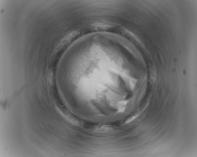 X0000079340451200612082028