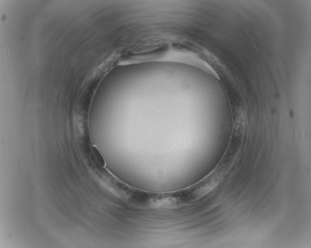 X0000079340452200612082028