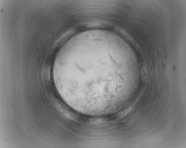 X0000079340454200612082028