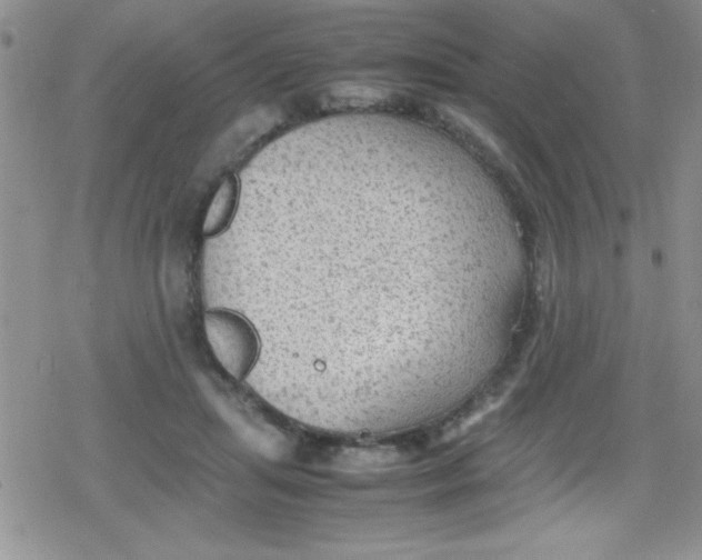 X0000079340455200612082028