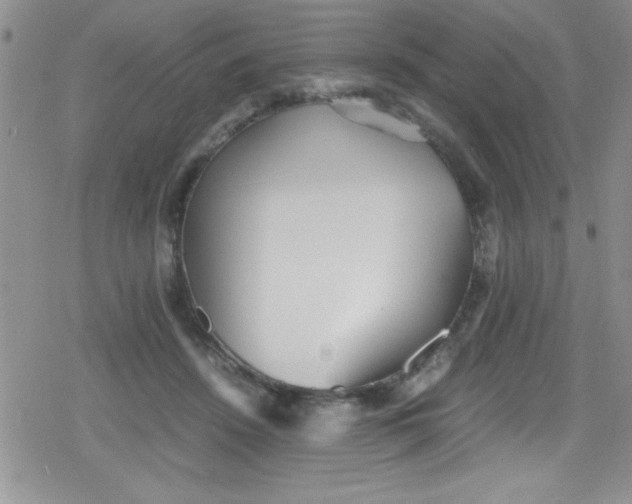 X0000079340456200612082028