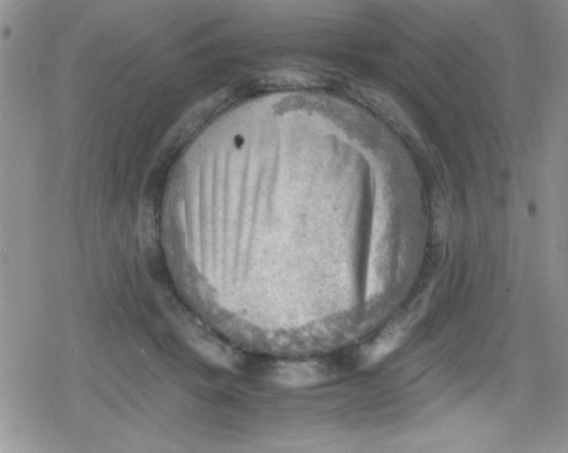 X0000079340457200612082028