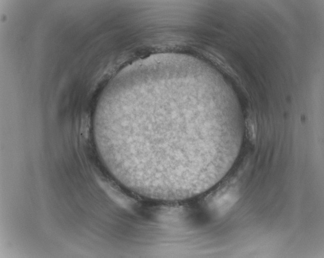 X0000079340458200612082028