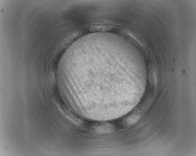 X0000079340459200612082028