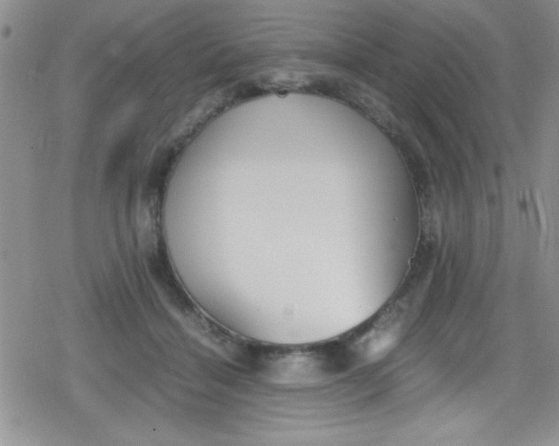 X0000079340460200612082028