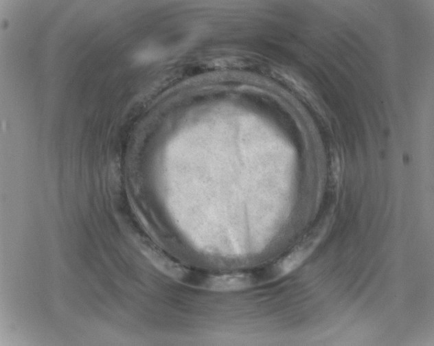 X0000079340461200612082028