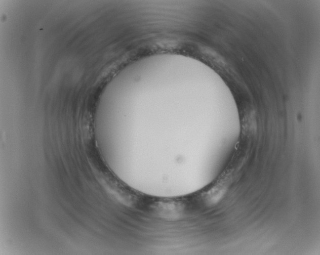 X0000079340464200612082029