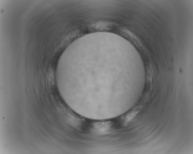 X0000079340465200612082029